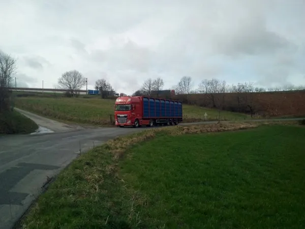 Hennentransport Hooijer Vrachtwagen 8
