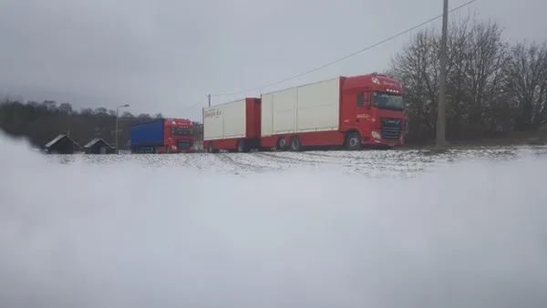 Hennentransport Hooijer Vrachtwagen 5