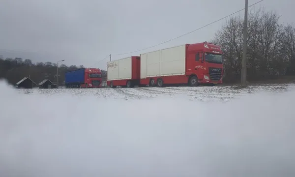 Hennentransport Hooijer Vrachtwagen 5